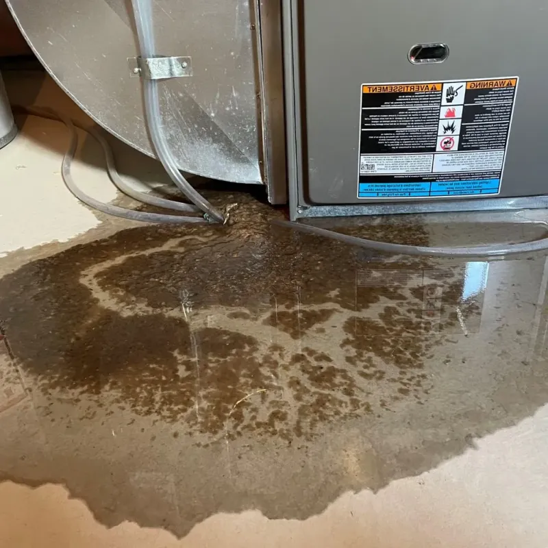 Pipe Burst and Leak Restoration in Lowell, AR