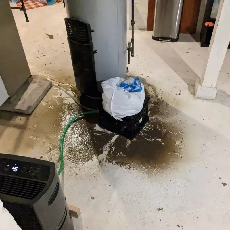 Sewage Backup Cleanup Service in Lowell, AR